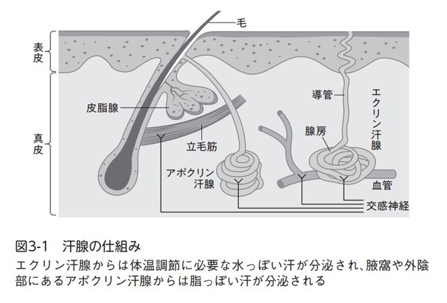 写真:現代ビジネス