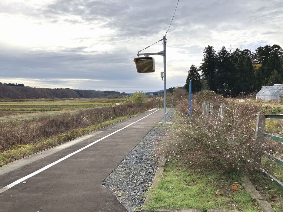 大川平駅。地元住民が手入れをしているのか、花壇には花が咲いていた