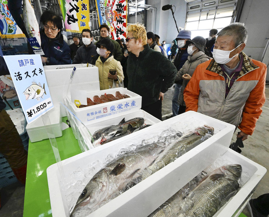 スズキなど請戸漁港に水揚げされた鮮魚が並んだ魚市＝浪江町