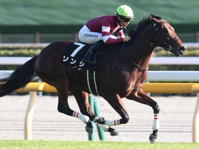 白秋Sを快勝したソンシ(今年10月撮影、ユーザー提供：淳。さん)