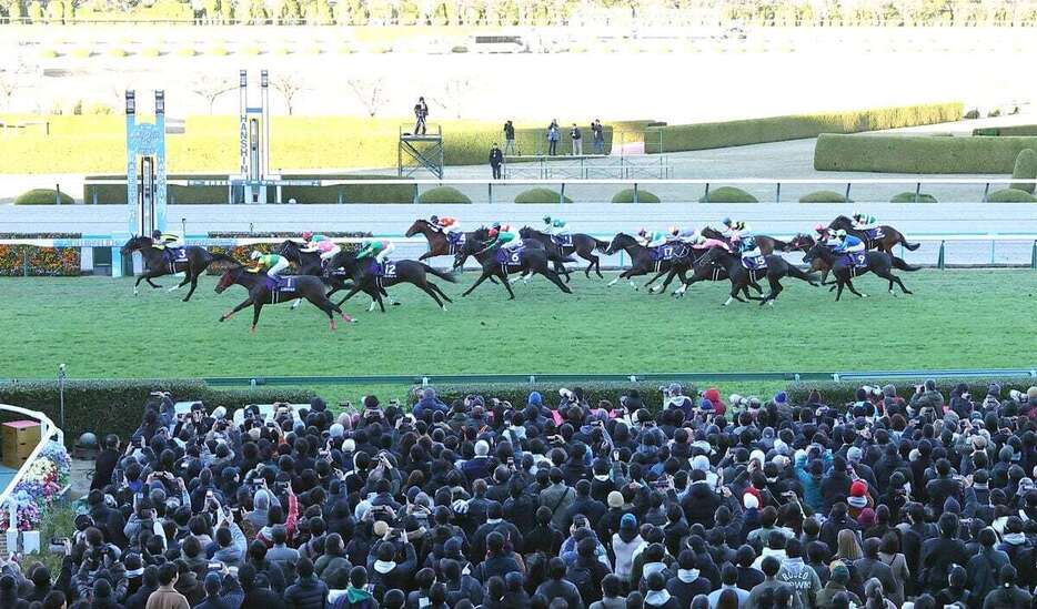 2023年12月に行われた朝日杯フューチュリティステークス＝阪神競馬場（河田一成撮影）