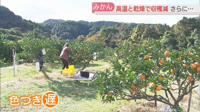 福岡・宗像市