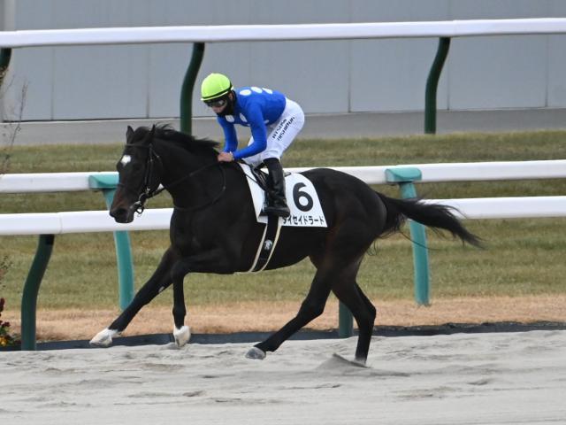 2歳新馬戦を制したタイセイドラード(c)netkeiba