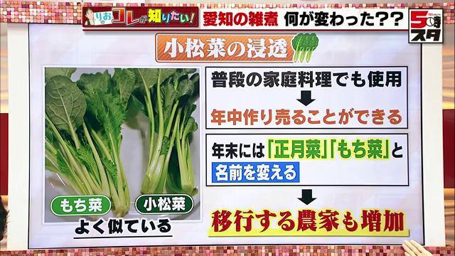 小松菜は年中作り、売ることができる