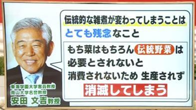 東海学園大学客員教授、南山大学名誉教授 安田文吉さん