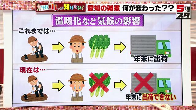 温暖化など気候の影響