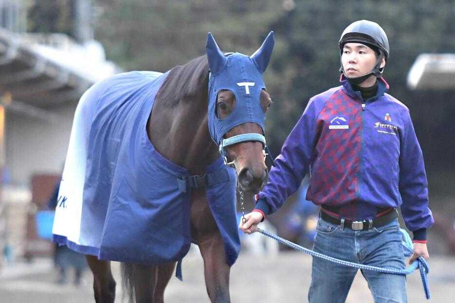 ３連勝でＧⅠ奪取を狙うブラウンラチェット