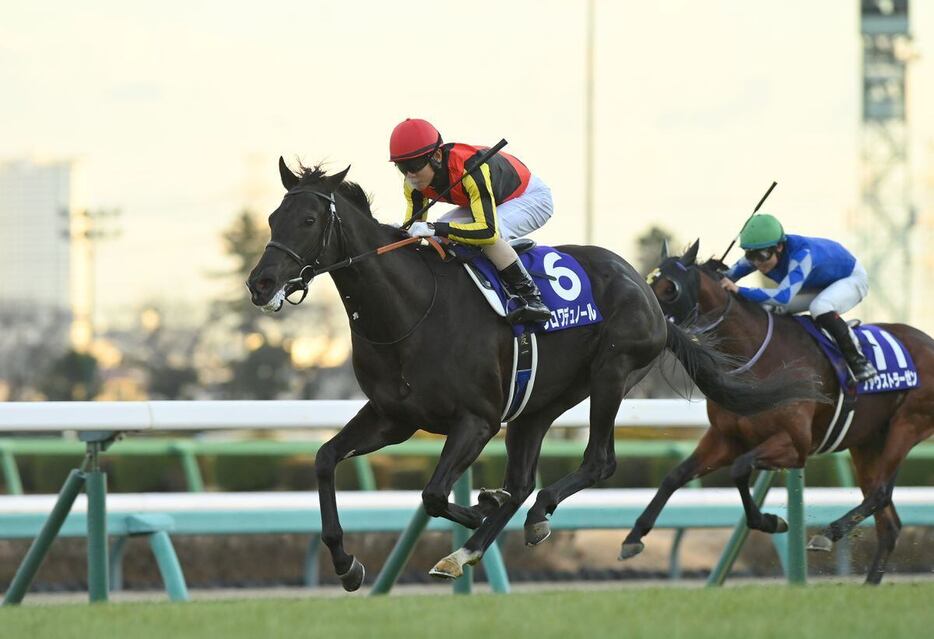 ホープフルSを制したクロワデュノール＝28日、中山競馬場（撮影・奈良武）