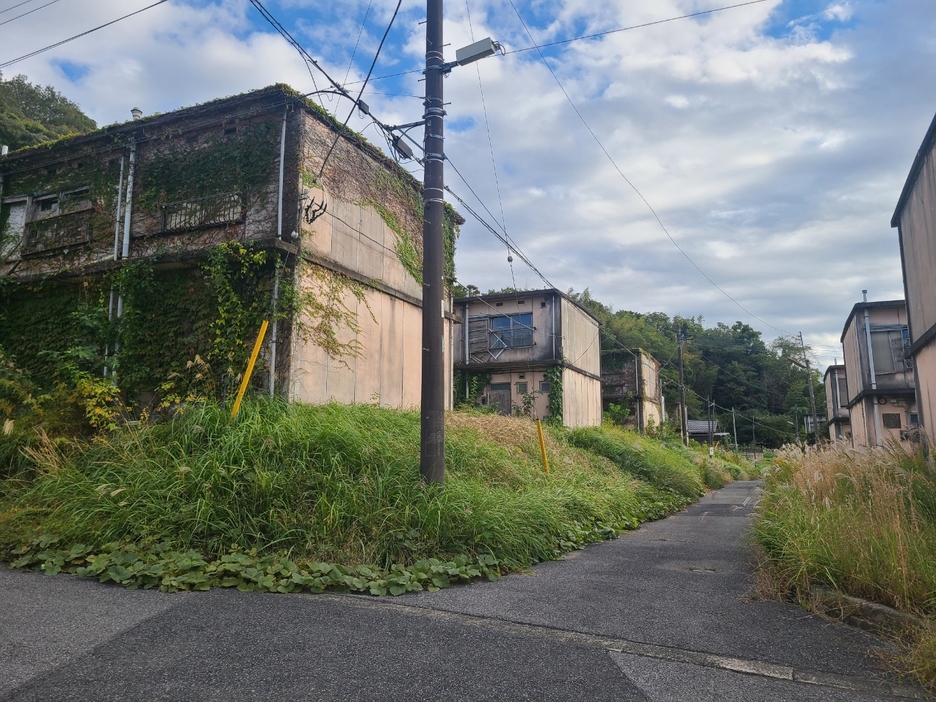 千葉県茂原市にある「真名団地」。2階建ての建物がずらっと並んでいるが、ツタが絡み、廃墟化している