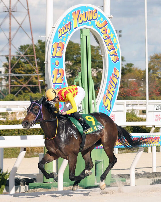 鷹見陸騎手を背に１着でゴールするラディアントホース（カメラ・岩田　大補）