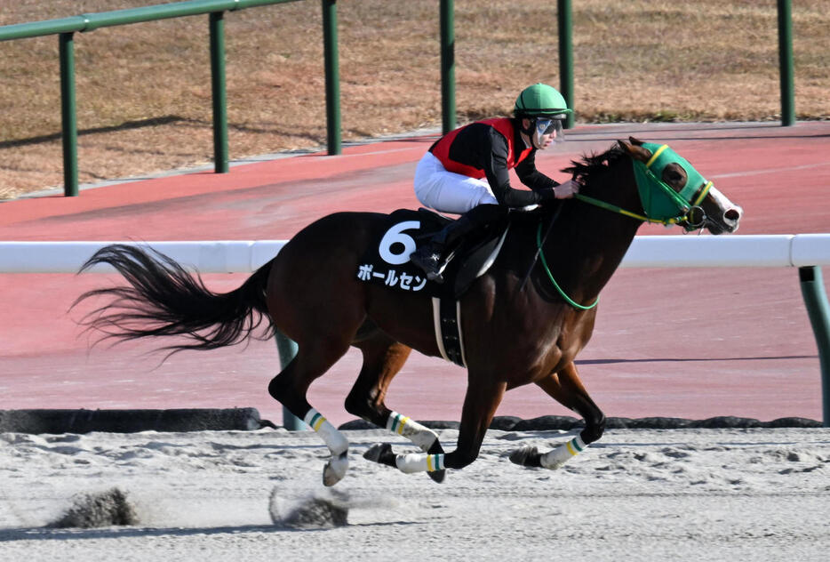 中京9R、寒椿賞を制したポールセン（撮影・前岡正明）