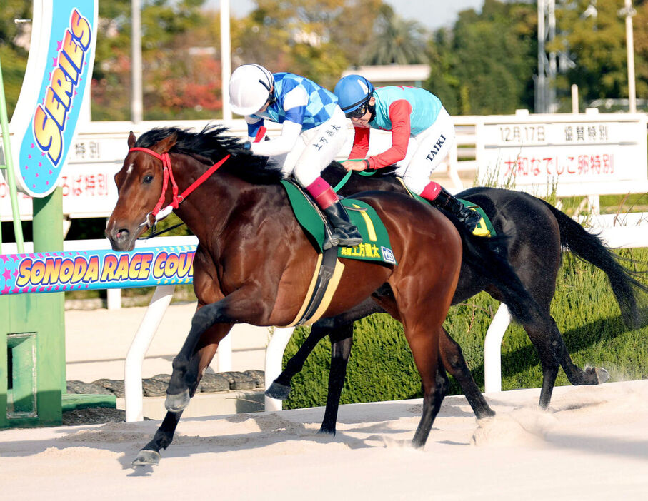 土方颯太騎手を背に橋木太希騎手が騎乗するバッジオレディネロ（右奥）を差し切って１着でゴールするハテナビト（左手前）（カメラ・岩田　大補）