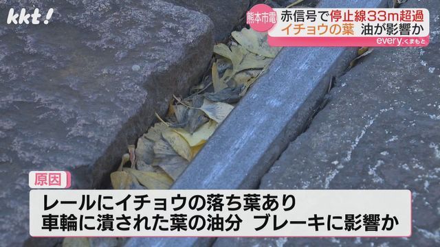 車輪で潰されたイチョウの葉の油分が影響した可能性