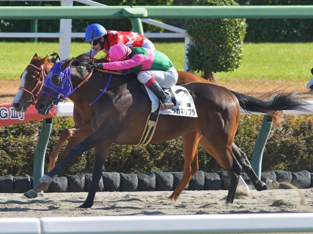 中山6Rの新馬戦を制したミツカネリブラ(撮影：小金井邦祥)