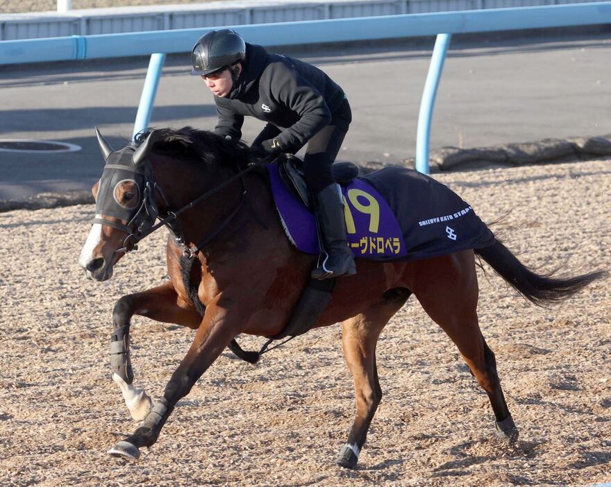 美浦Wコースで併走馬を3馬身追走する形から、馬なりのまま先着したレーヴドロペラ＝美浦トレセン（撮影・塩浦孝明）