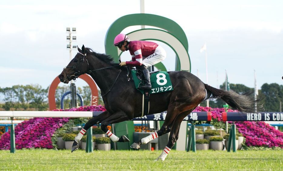 京都2歳Sを制したエリキング