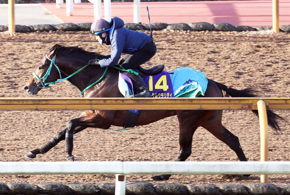 単走で追い切るトータルクラリティ