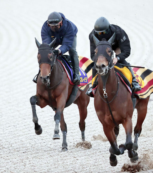 Ｗコースで有馬記念１週前追い切りを行ったレガレイラ（左、カメラ・荒牧　徹）