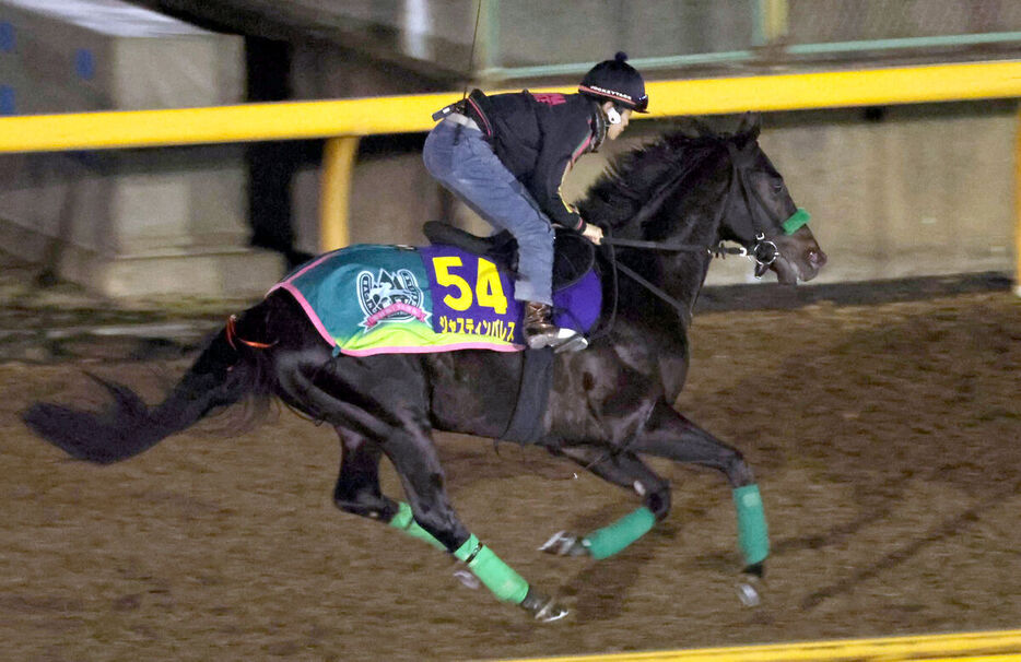 CWコースを活気十分に駆けたジャスティンパレス（カメラ・岩田　大補）