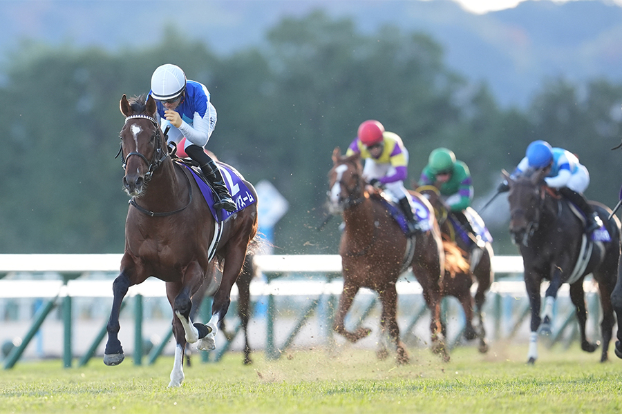 第76回朝日杯フューチュリティステークス アドマイヤズームが優勝（c）SANKEI