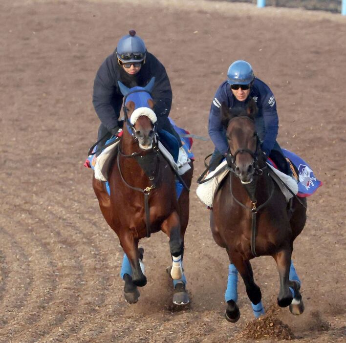 キングズパレス（左）＝美浦トレセン（撮影・塩浦孝明）