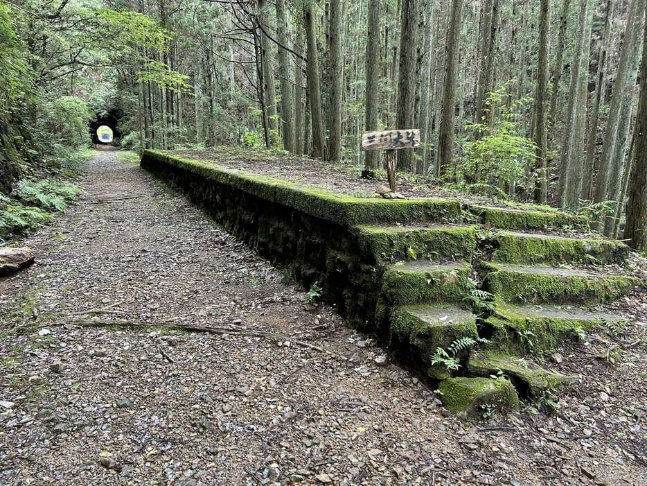 廃線から半世紀すぎても残る三河大草駅のホーム。森の中にひっそりとたたずんでいる