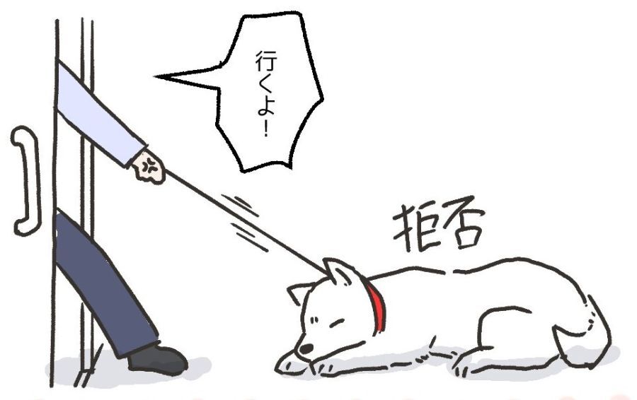 入室を拒否する犬！（南兎さん提供）