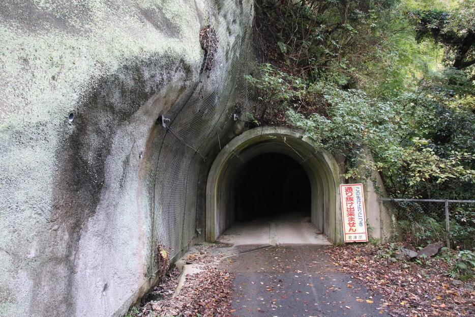 県道から左折すると、いきなりこのトンネルが現れる