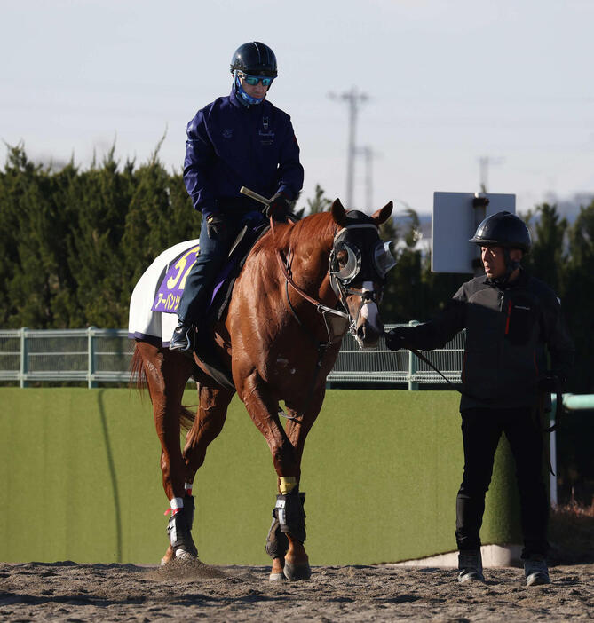 最終追い切りを終えて馬場を出るアーバンシックとルメール騎手（撮影・丹羽敏通）