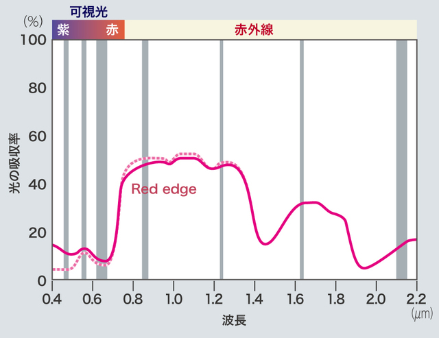 レッドエッジ(Y. Fujii et al., ApJ, 715, 866 ‒ 880[2010])。可視光と赤外線のあいだに大きなギャップがある