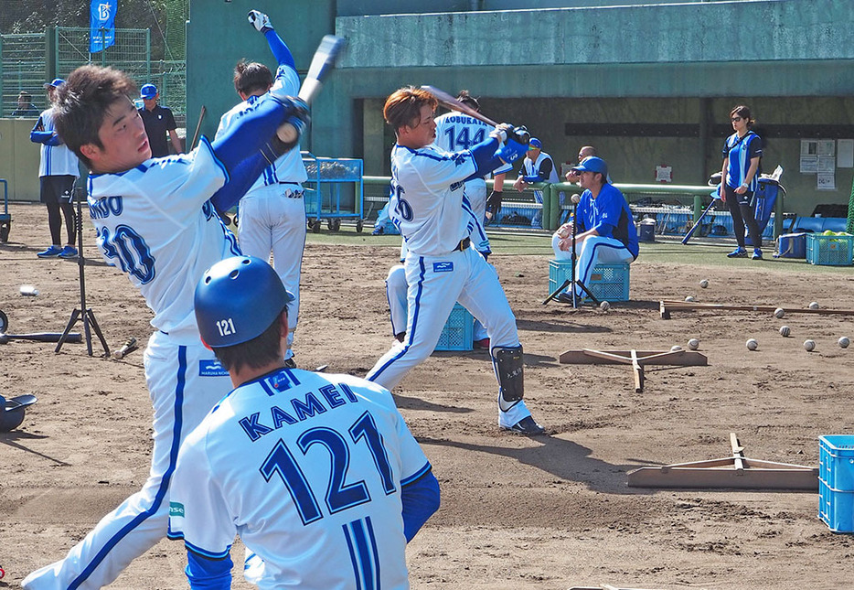 横浜DeNAの奄美市での春季キャンプが3年連続で決定した（今年の資料写真）