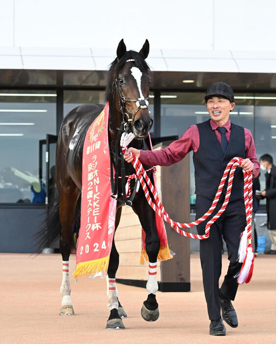 京都2歳Sを制したエリキング（2024年11月23日撮影）