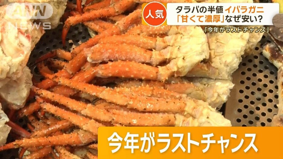 タラバの半値と話題のイバラガニ　味も見た目も「遜色なし」　なぜ安い？