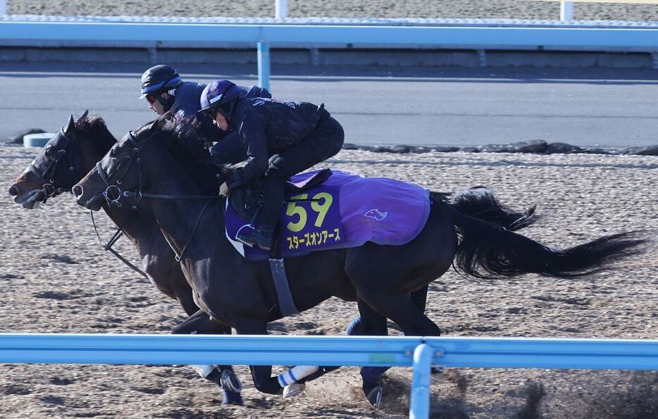 併せ馬で先着したスターズオンアース（手前）＝美浦トレセン（撮影・萩原悠久人）