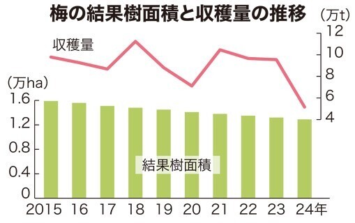 梅の収穫量の推移