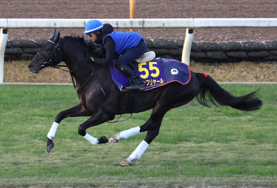 西塚洸二騎手を背に芝コースを単走で追い切るシャフリヤール