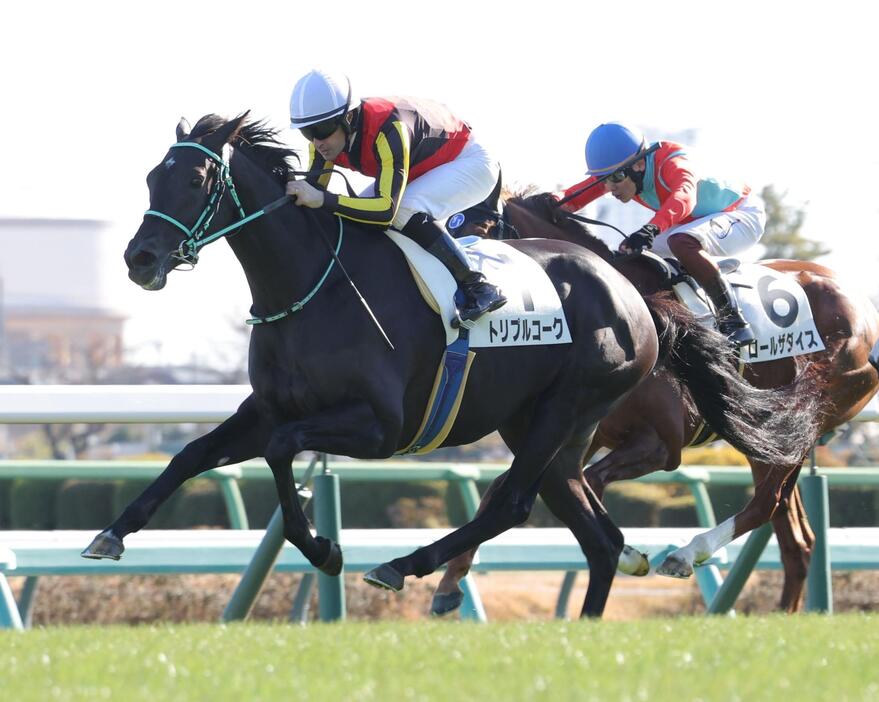 　新馬戦を制したトリプルコーク（左）＝撮影・西岡正