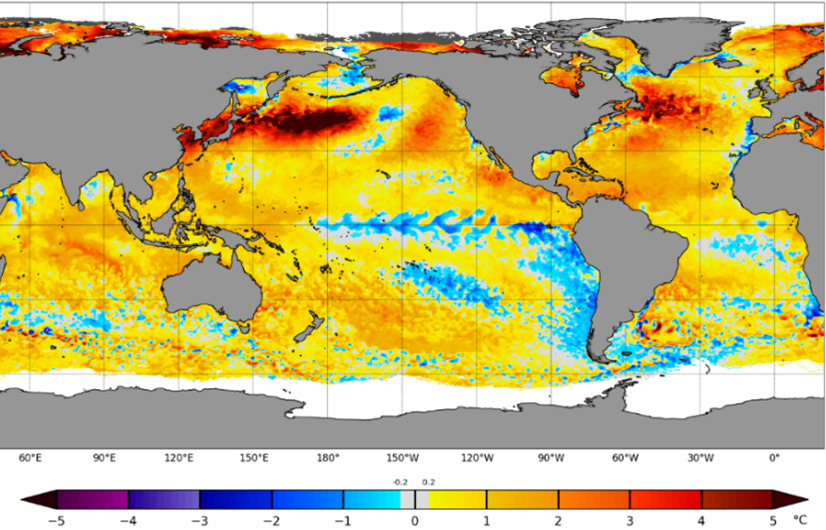 世界の海水温の平年差。黒、赤、黄の順に平年より気温が高い。青色は平年より低いエリア（2024年9月中旬、NOAAのwebから引用）