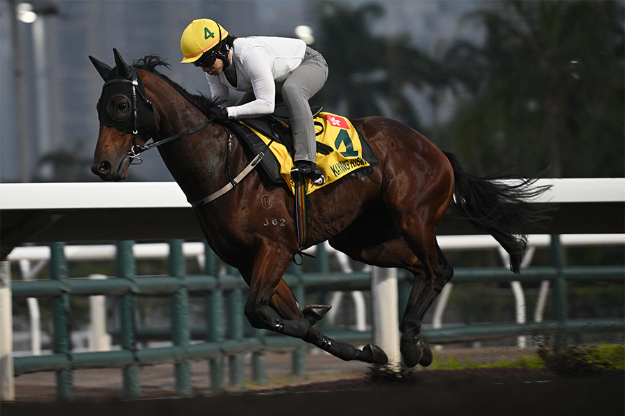 カーインライジング PHOTO:Getty Images