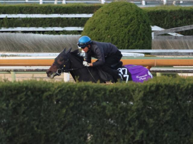 今週デビュー予定のロックエンジェル(撮影：井内利彰)