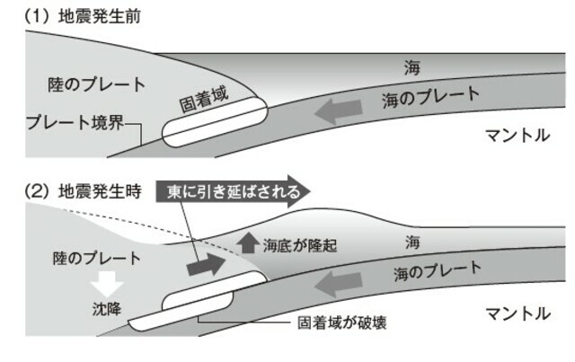 東日本大震災発生前後のプレートの動き