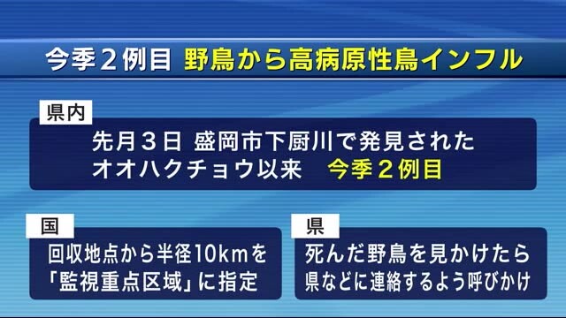 岩手めんこいテレビ