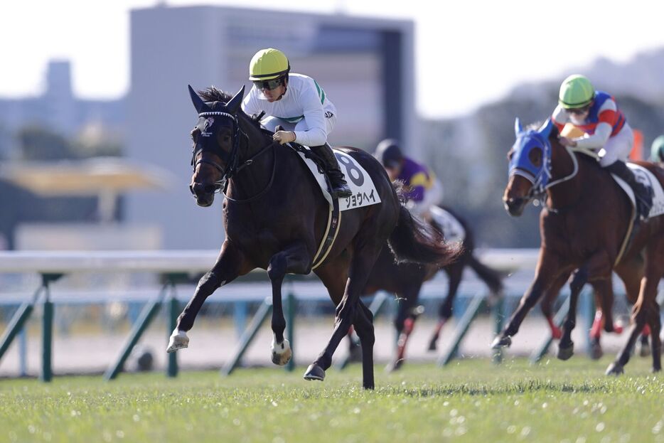 京都4R・ショウヘイと川田将雅騎手