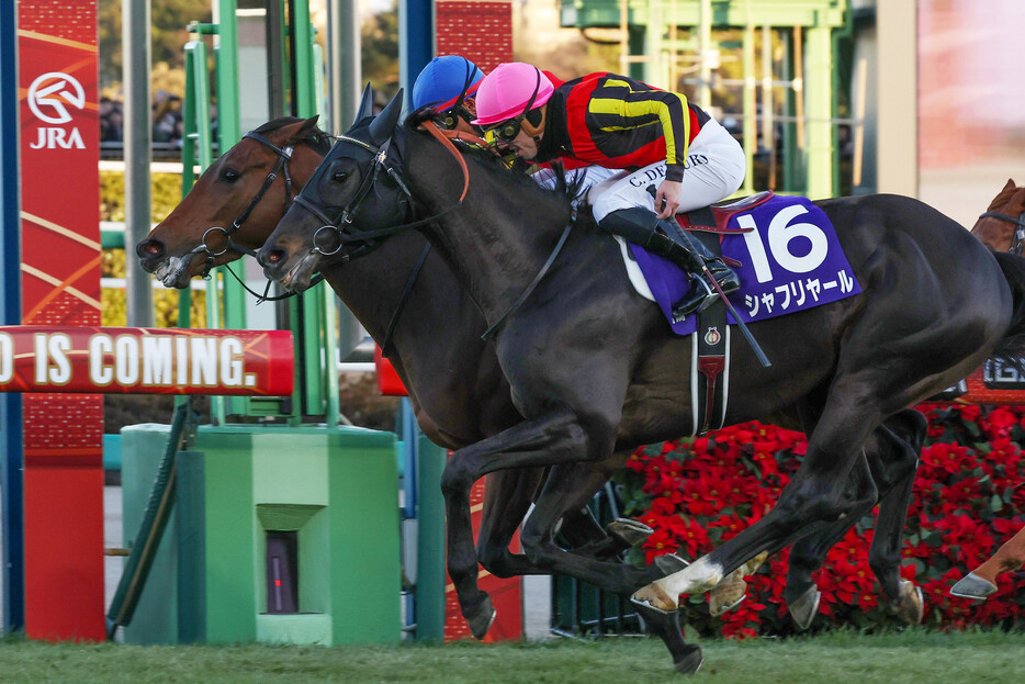 年末恒例の中央競馬のＧＩレース、第６９回有馬記念は２２日、中山競馬場の芝２５００メートルコースに１５頭が出走して行われ、戸崎圭太騎乗で単勝５番人気のレガレイラ（奥）が２分３１秒８で優勝した。