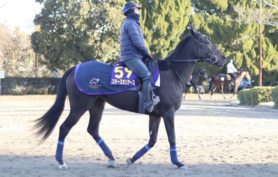 昨年2着のスターズオンアース＝美浦トレセン（撮影・吉田桜至郎）