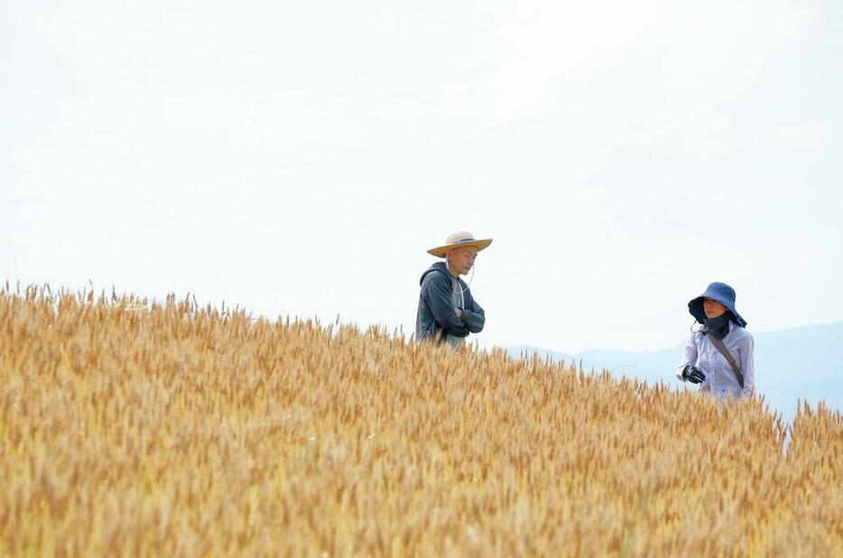 PHOTOGRAPH BY MAKOTO ITO