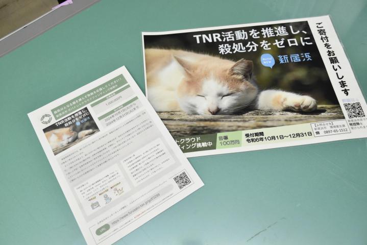 新居浜市がネコの不妊去勢手術のGCFを呼びかけるチラシ