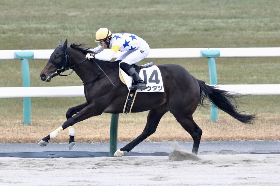 京都6R・トウタツと幸英明騎手