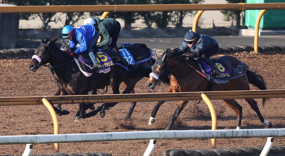 3頭併せで追い切るリアライズオーラム（右）