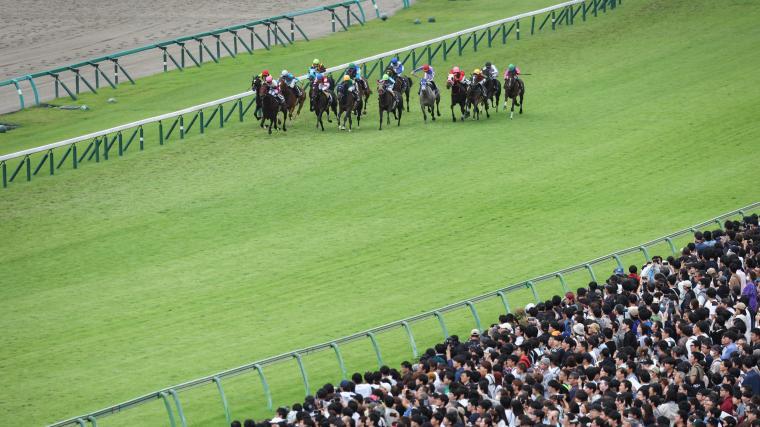 12月22日に開催される中央競馬の1年の総決算、第69回有馬記念（G1）